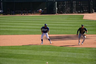 DSC_1659 (Large).JPG